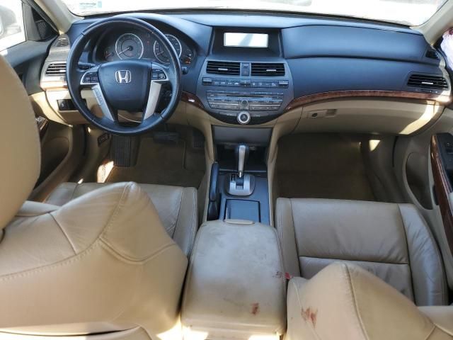 2012 Honda Accord EXL