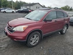 Salvage cars for sale at York Haven, PA auction: 2011 Honda CR-V EX