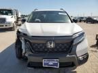 2021 Honda Passport Elite