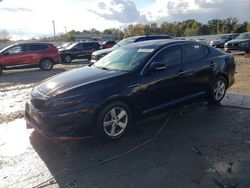 Salvage cars for sale at Louisville, KY auction: 2015 KIA Optima LX