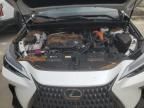 2024 Lexus NX 350H Base