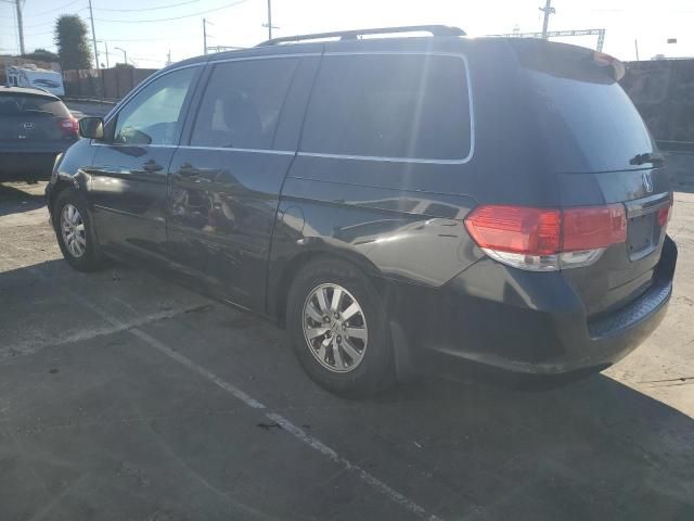 2009 Honda Odyssey EXL