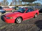 2002 Ford Mustang