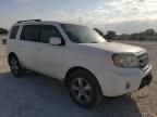 2009 Honda Pilot EXL