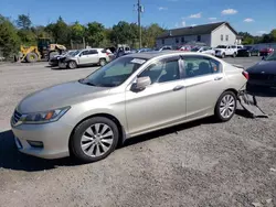 Honda salvage cars for sale: 2014 Honda Accord EX