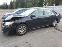 Toyota Vehiculos salvage en venta: 2013 Toyota Camry L