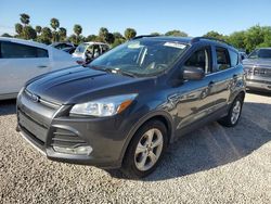 Salvage cars for sale at Riverview, FL auction: 2016 Ford Escape SE