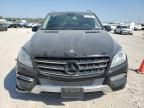 2015 Mercedes-Benz ML 350