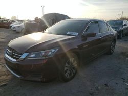 Honda salvage cars for sale: 2013 Honda Accord LX