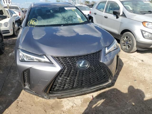 2019 Lexus UX 200