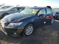 Salvage cars for sale at Riverview, FL auction: 2014 Lexus ES 350