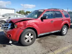 Salvage cars for sale at Pennsburg, PA auction: 2011 Ford Escape XLT