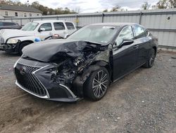 Salvage cars for sale at York Haven, PA auction: 2024 Lexus ES 350 Base