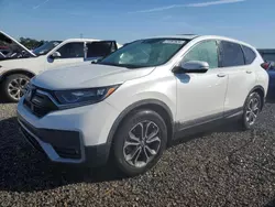 Honda salvage cars for sale: 2020 Honda CR-V EX