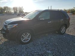 Salvage cars for sale at auction: 2014 KIA Sorento LX