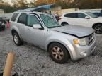 2010 Ford Escape Limited