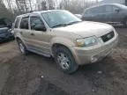 2007 Ford Escape XLT