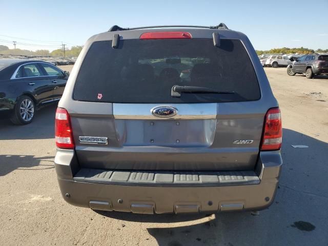 2009 Ford Escape Limited