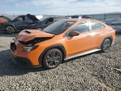 Salvage cars for sale at Reno, NV auction: 2023 Subaru WRX