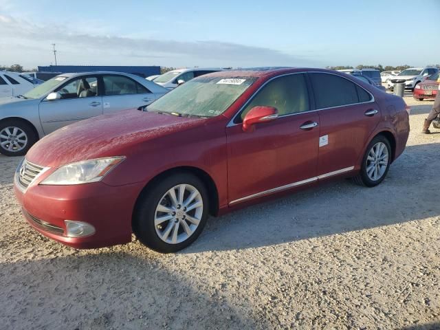 2010 Lexus ES 350