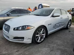 Salvage cars for sale at Arcadia, FL auction: 2015 Jaguar XF 3.0 Sport