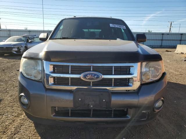 2011 Ford Escape XLT