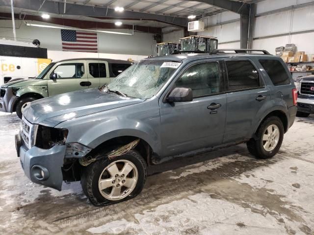 2011 Ford Escape XLT