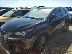 Lexus nx 300 f s salvage cars for sale: 2020 Lexus NX 300 F Sport