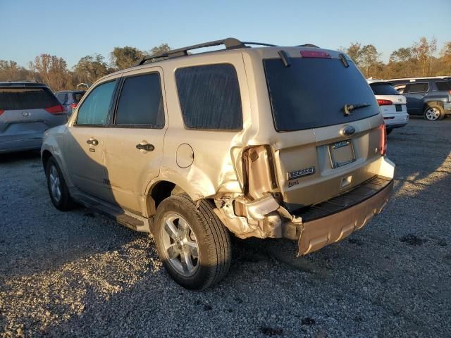 2011 Ford Escape XLT