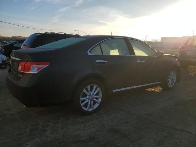 2010 Lexus ES 350