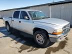 2004 Dodge Dakota Quad SLT