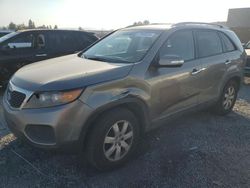 Salvage cars for sale from Copart Mentone, CA: 2013 KIA Sorento LX