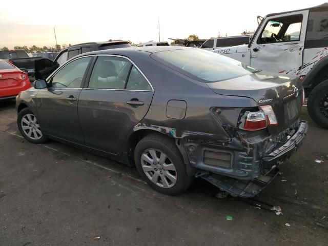 2009 Toyota Camry Hybrid