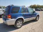 2007 Ford Escape XLT