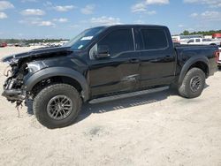 Salvage cars for sale at Houston, TX auction: 2019 Ford F150 Raptor