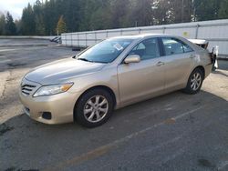 Salvage cars for sale at Arlington, WA auction: 2011 Toyota Camry Base