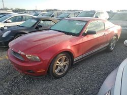 Salvage cars for sale at Midway, FL auction: 2010 Ford Mustang