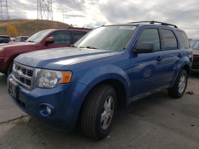 2010 Ford Escape XLT