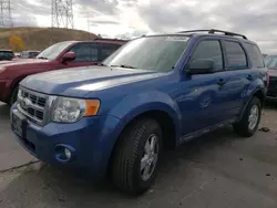 Salvage cars for sale from Copart Littleton, CO: 2010 Ford Escape XLT