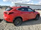 2023 Lexus NX 350H