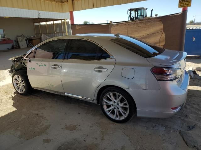 2010 Lexus HS 250H