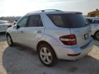 2010 Mercedes-Benz ML 350