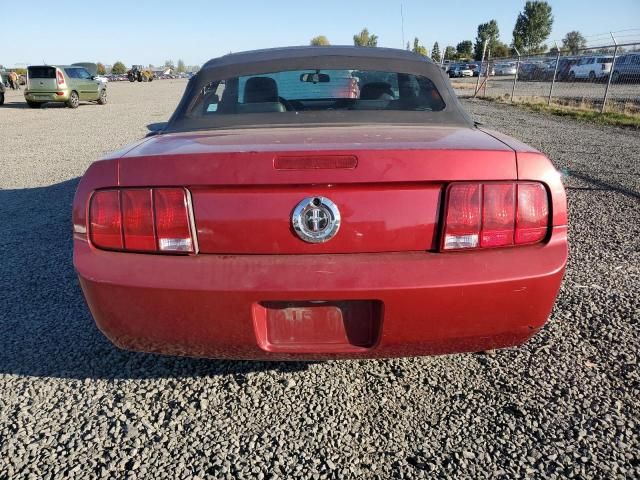 2005 Ford Mustang