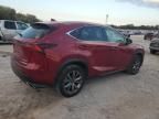 2020 Lexus NX 300 F Sport