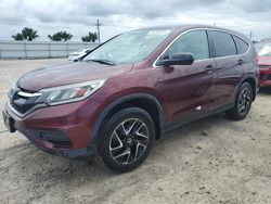 Honda salvage cars for sale: 2016 Honda CR-V SE