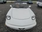 1991 Alfa Romeo Spider