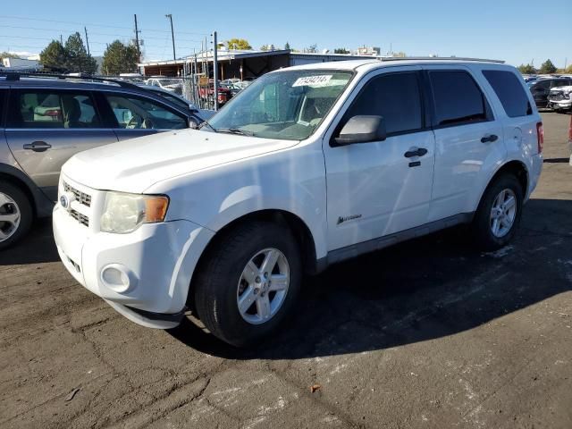 2010 Ford Escape Hybrid