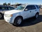 2010 Ford Escape Hybrid