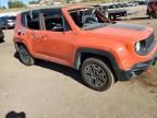 2017 Jeep Renegade Trailhawk