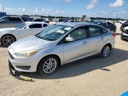 Salvage cars for sale at Arcadia, FL auction: 2017 Ford Focus SE